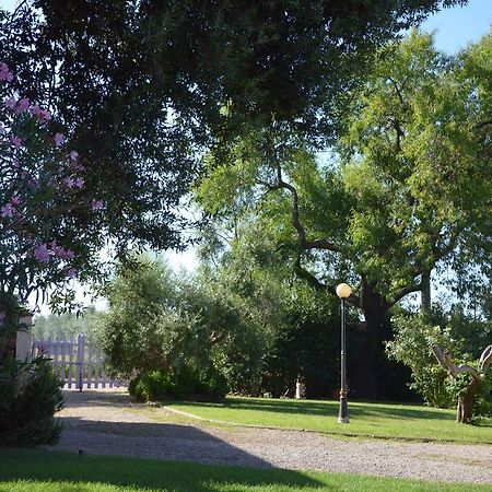 Agriturismo Masseto Campiglia Marittima Exterior foto